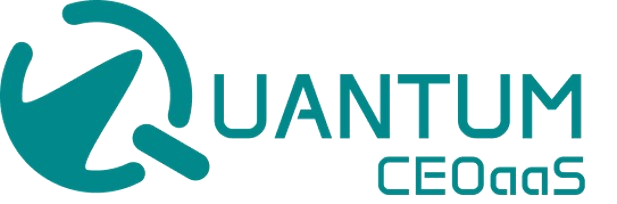Quantum CEO Dashboard